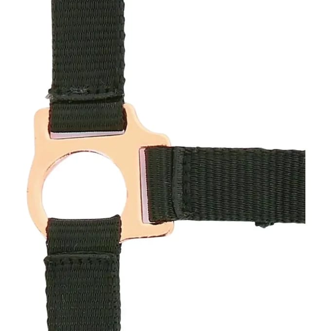 Halster voor paarden Norton Rose gold