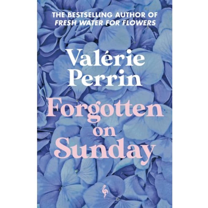 Forgotten On Sunday - Valerie Perrin