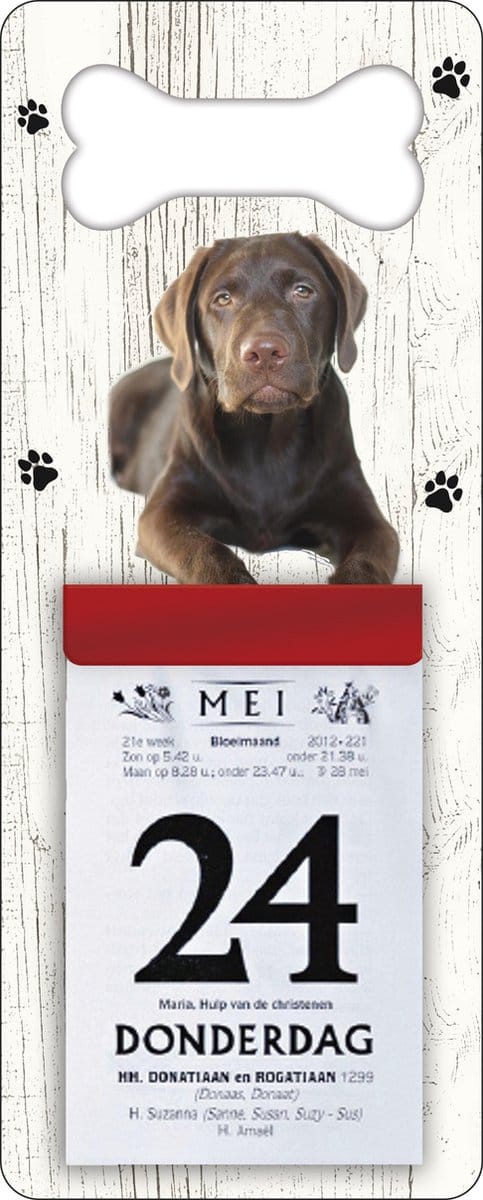 Scheurkalender 2027 Hond: Labrador bruin