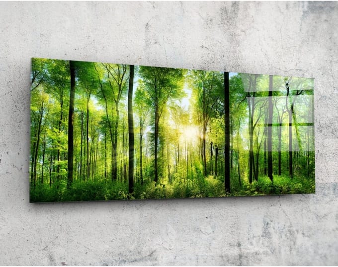 Panorama Glasschilderij - Binnen het Bos - Natuur - 92 x 36 cm