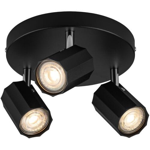 LIVARNO HOME Plafondlamp (mat zwart)