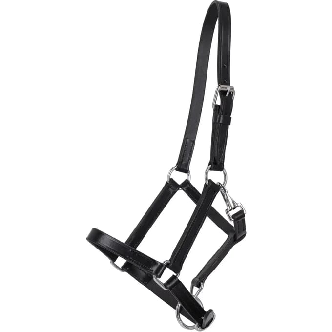 Leren halster voor paarden Q-essentials