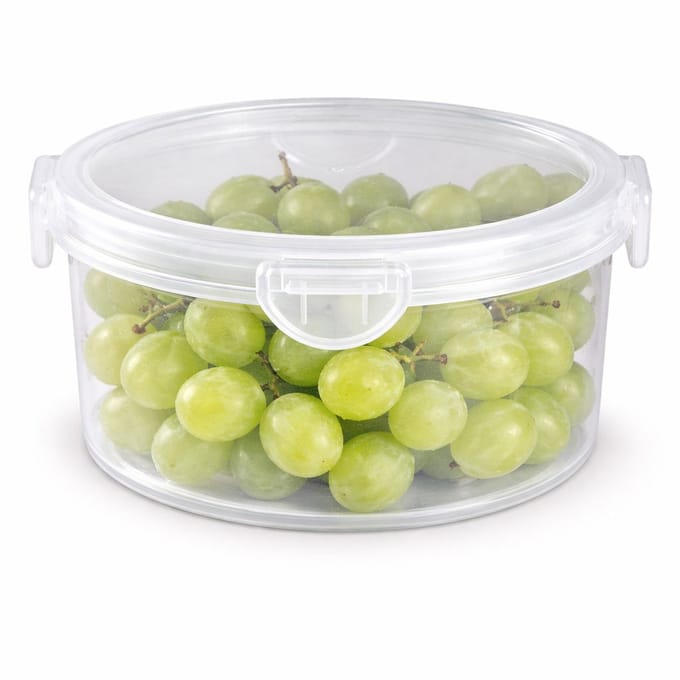Plasticforte Vershoudbakje vriezer/magnetron - 1000 ml - kunststof