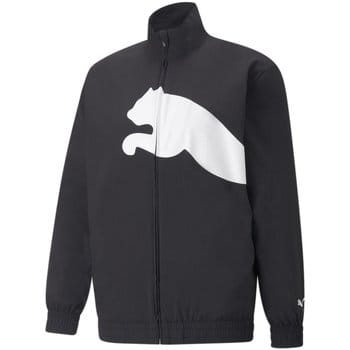 Windjack Puma -