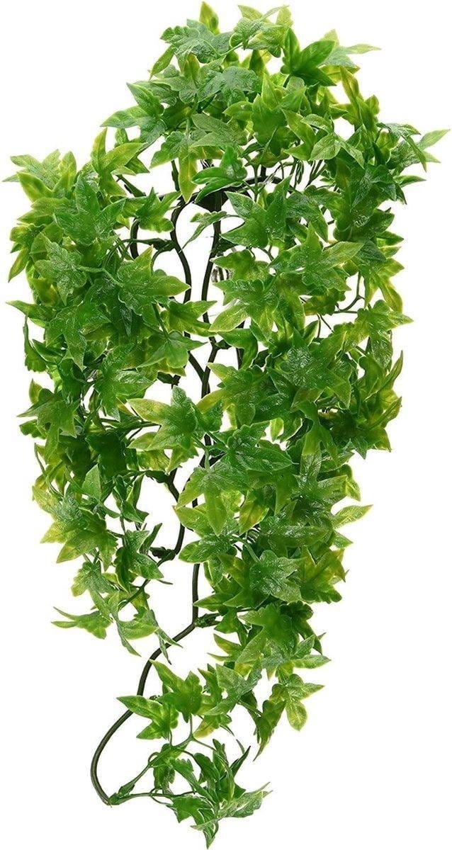 ZooMed - naturalistic flora - congo ivy - small - terrariumplant