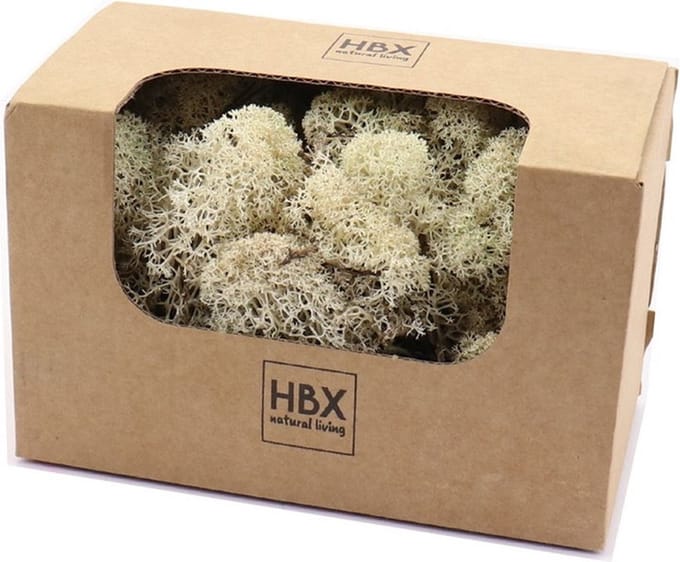 HBX Natural Living Decoratie mos - wit/naturel - 100 gram - rendiermos - hobby