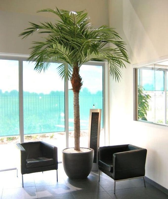 Majesty Giant kunstpalm 350cm