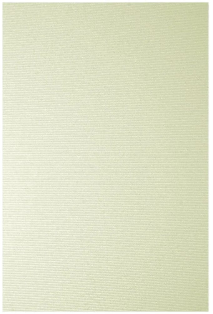 Netuno - ecru gestructureerd papier - ribstructuur - A5 - 14,8 x 21 cm - 20 vellen - 246 gram - Elfenbens