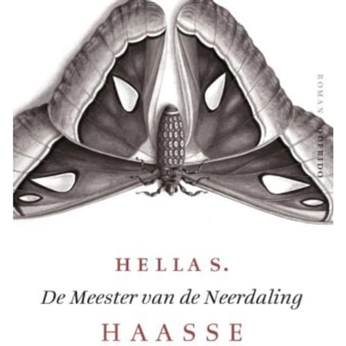 De Meester Van De Neerdaling - Hella S. Haasse