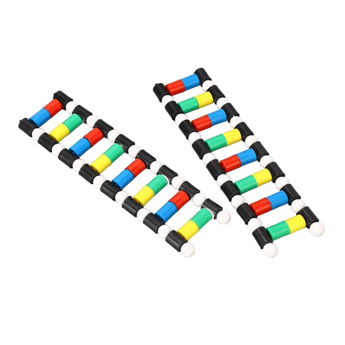 DNA Weergavemodel Dubbele Helix Structuur Moleculair Model Kit voor Biologisch Genetisch Gen Onderwijs black