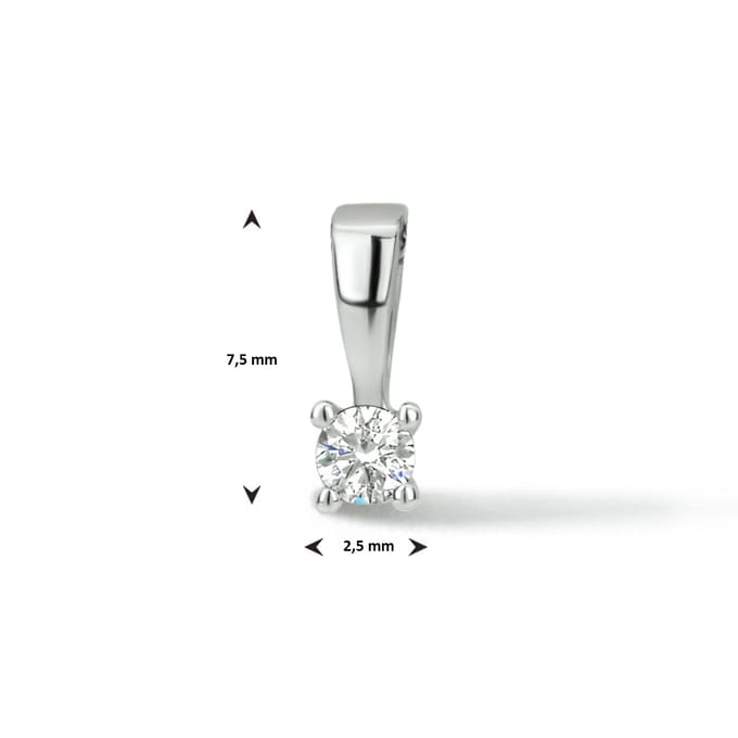 Hanger Diamant H Si