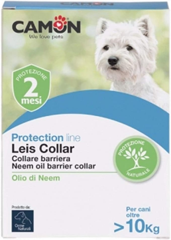 Halsband Beschermlijn voor Honden 60 cm Groot