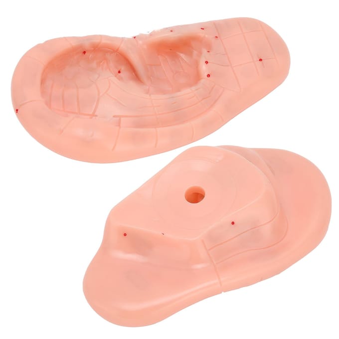 Oor Reflexzone Model Menselijk Oor Acupunctuurpunt Massage Model voor Onderwijs Leren beige