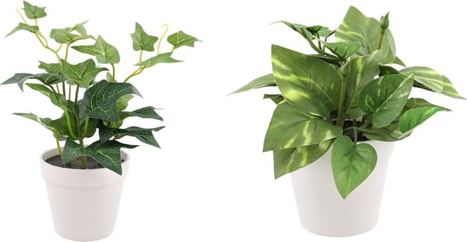 Botanische kunst planten - Wit - Set van 2 - Assorti - 20 cm - Kunstplant - Plant