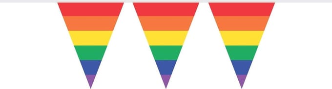Haza Witbaard Flag line Rainbow 10mtr.