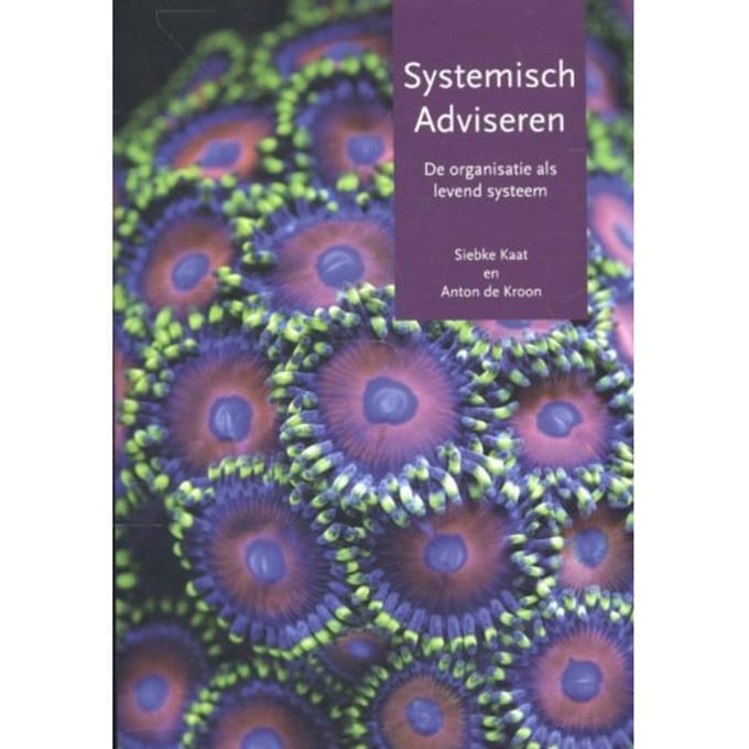 Systemisch Adviseren - Siebke Kaat
