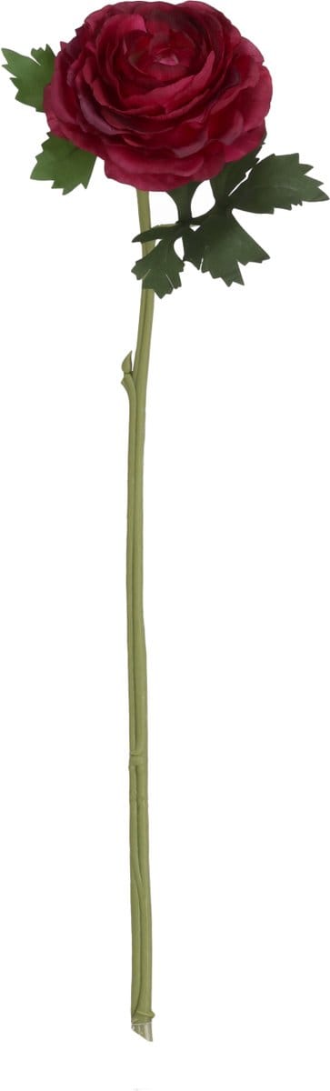 Ranonkel Kunstbloem Deluxe 54cm Burgundy