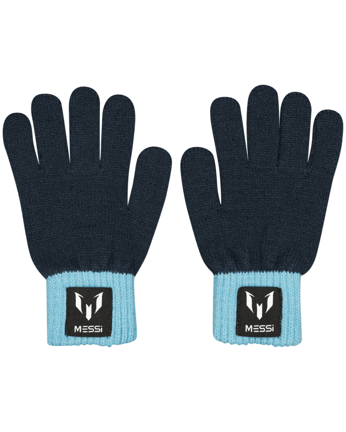 Gloves Ver