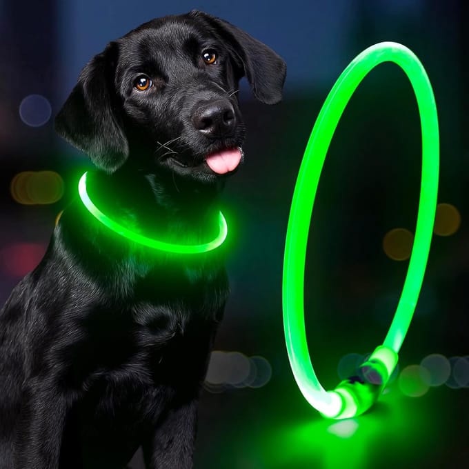 Professor Q LED hondenhalsband - Groen - S 35 cm - USB oplaadbaar