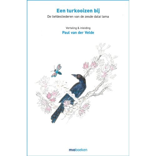 Een Turkooizen Bij