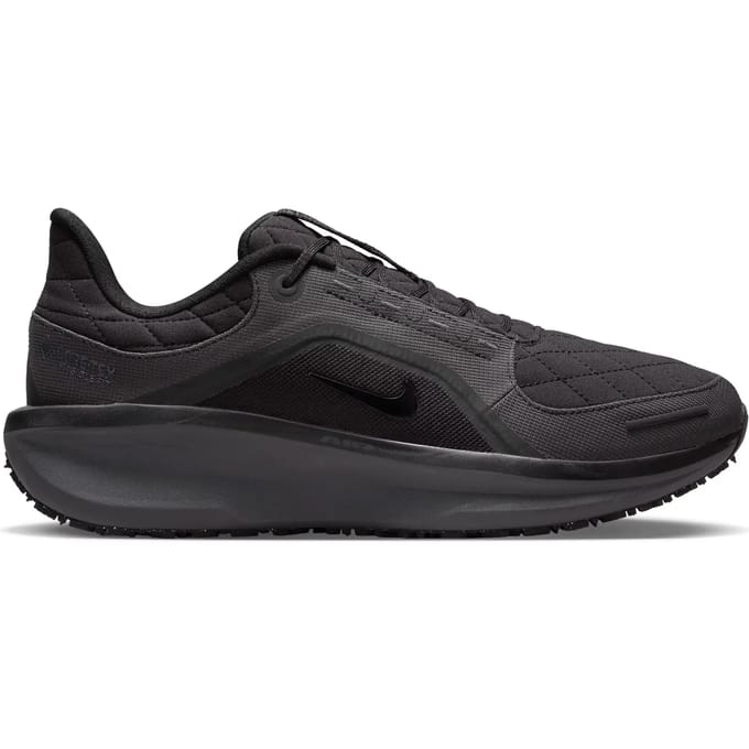 Hardloopschoenen Nike Winflo 11 Gore-Tex