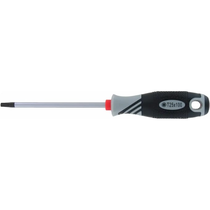 Torx compatibel schroevendraaier gereedschap Var