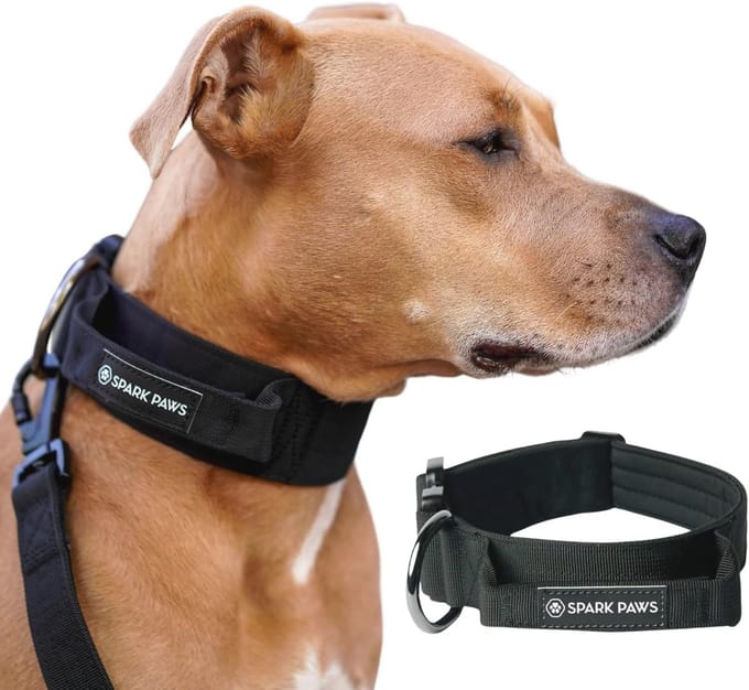 Robuste hondenhalsband voor grote honden - Duurzaam en comfortabel met handgreep