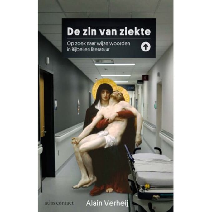 De Zin Van Ziekte - Alain Verheij