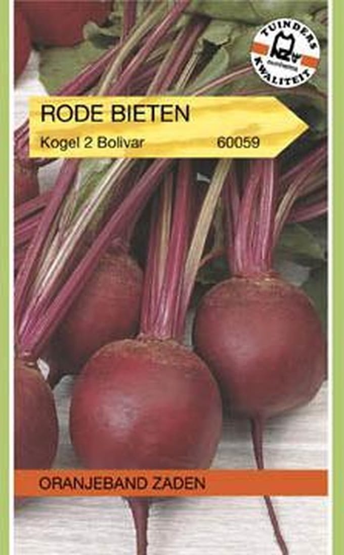 Oranjebandzaden -  Rode Bieten Kogel 2, Bolivar