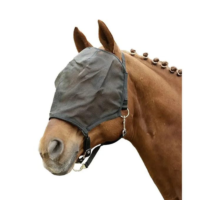 Halster voor paarden HKM