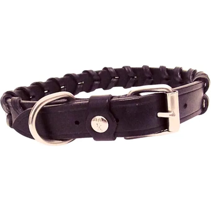 Hondenhalsband Silver Crown Bredie