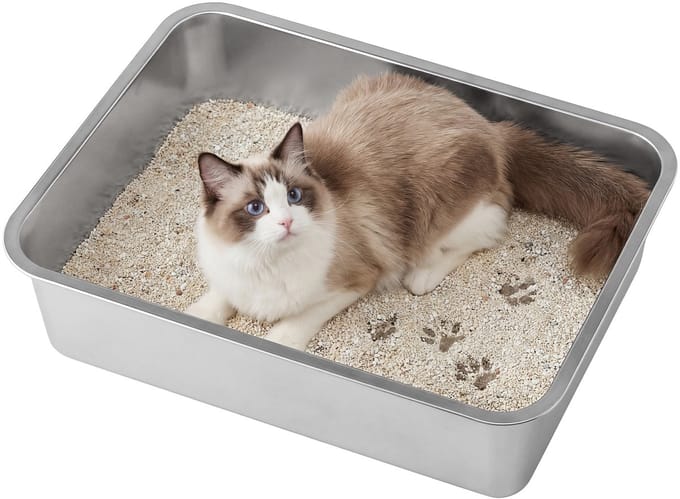 Feandrea - Kattenbak - Open Ontwerp met Hoge Rand - Geurvrij
