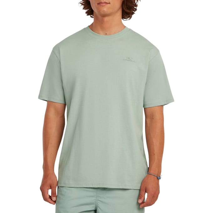O'Neill Small Logo T-shirt Heren - Maat M