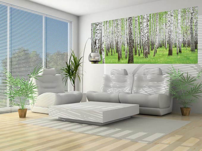 Forest and Woods Photo Wallcovering