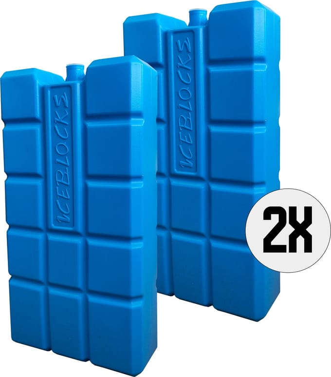 DULA Koelelementen voor koelbox - blauw - 2 stuks - 750 gram - 20x10,5x4cm