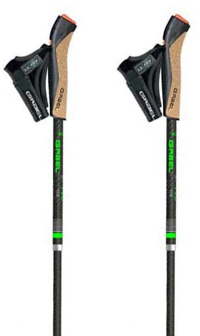 Gabel Fld Carbon Stokken Zilver 120 cm