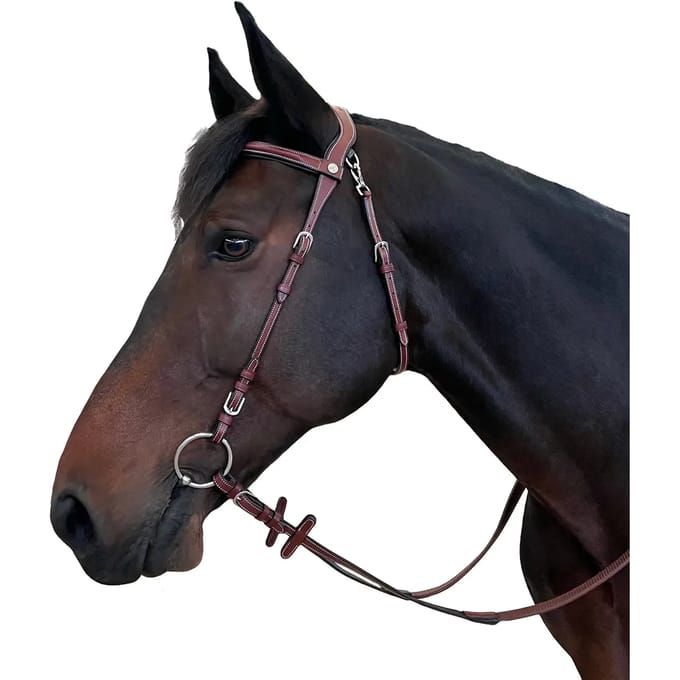 Hoofdstellen voor paarden Flags&Cup Freedom