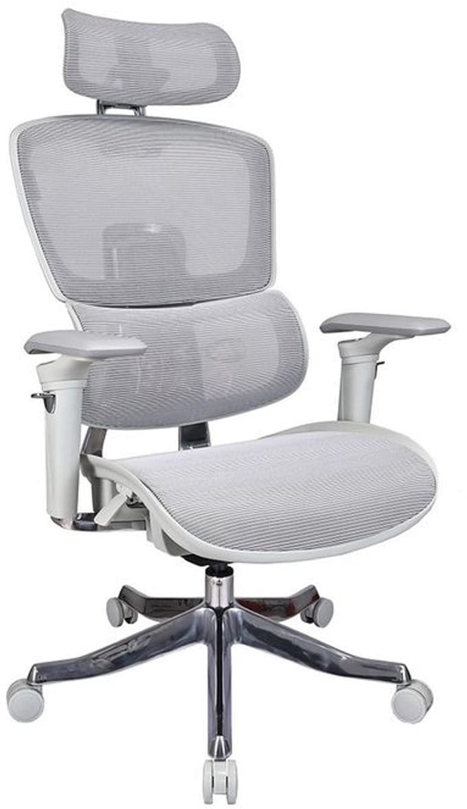 Ergonomische bureaustoel B10-Ergo - Grijs - 4D armleuningen - Kantelbaar - 3D Hoofdsteun - ProjectPLUS