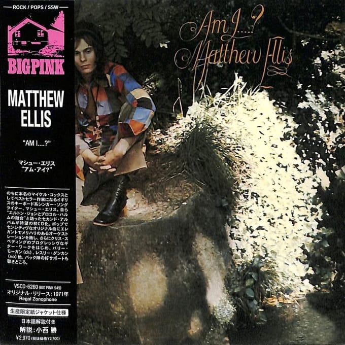 Matthew Ellis - Am I....? (CD)