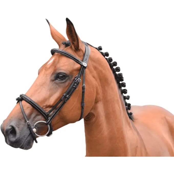 Engels gecombineerd hoofdstel met anatomische neusriem Jump'In Thursday