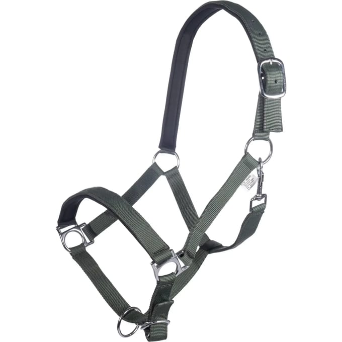 Halster voor paarden HKM Stars