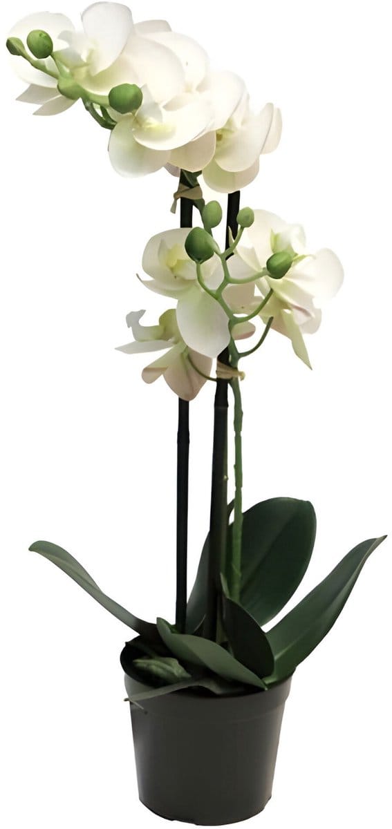 Phalaenopsis orchidee in pot 50 cm wit kunstplant Buitengewoon de Boet