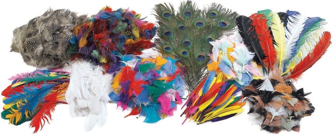 Colorations knutselpakket veren kleurrijke creatieve set voor kinderen.