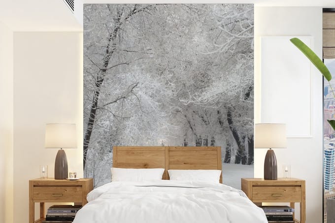 Behang - Fotobehang Bomen - Sneeuw - Winter - Breedte 190 cm x hoogte 260 cm