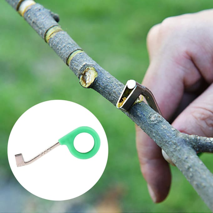 Cutter Annulaire Aboyeur Ciseaux Couteau à Écorcer Outils de Taille pour Jardin Arbre Fruitier Vigne beige