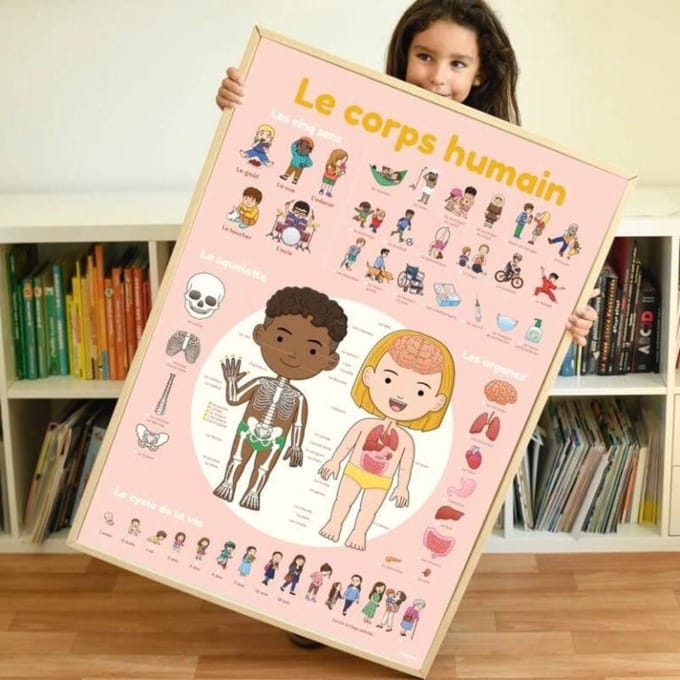Poppik Sticker Poster - Menselijk Lichaam