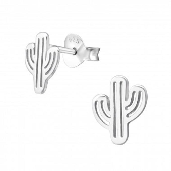 Oorknopjes-cactus egaal