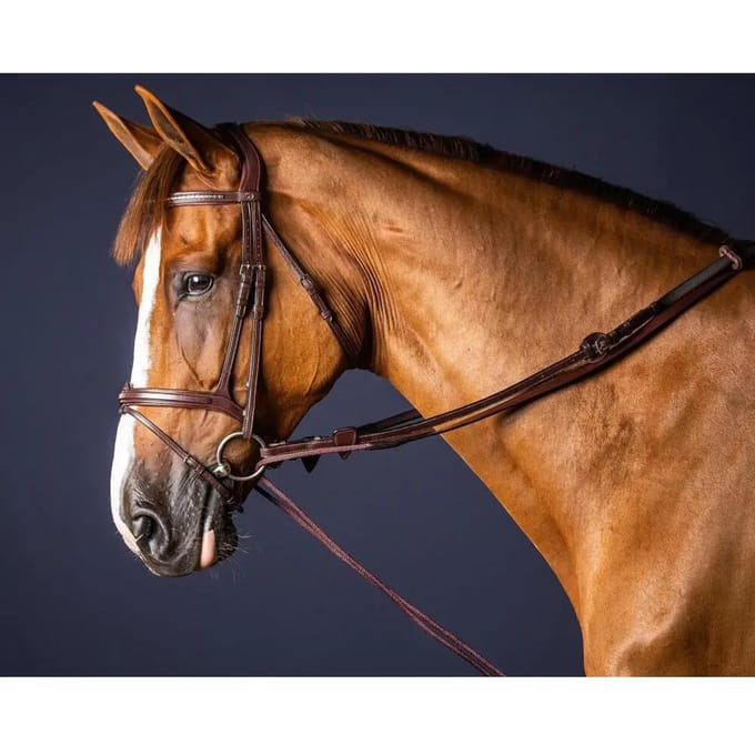 Dy'on - Slofteugel in leer/nylon 5/8 Bruin Cob