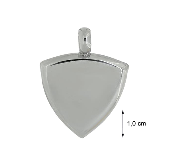 Blinx Jewels Stijlvolle RVS Hanger – Schildvormig - Driehoek PS6175