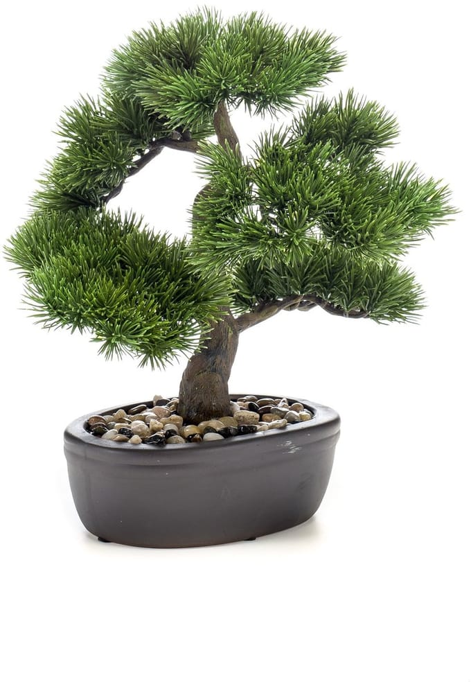 Emerald - Kunstplant Bonsai Pinus 32cm - Kunstplant voor binnen